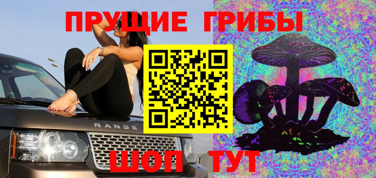 Кемерово  Псилоцибиновые грибы мицелий  Вход с VPN 